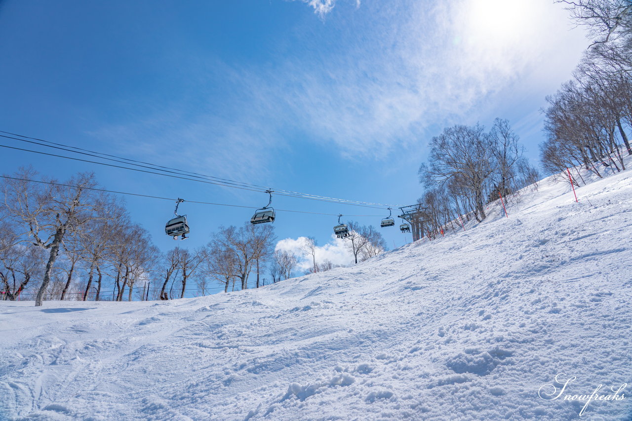 サッポロテイネ　今日から『特別春スキー営業』がスタート！ハイランドゾーンのナイター営業も期間限定で復活☆